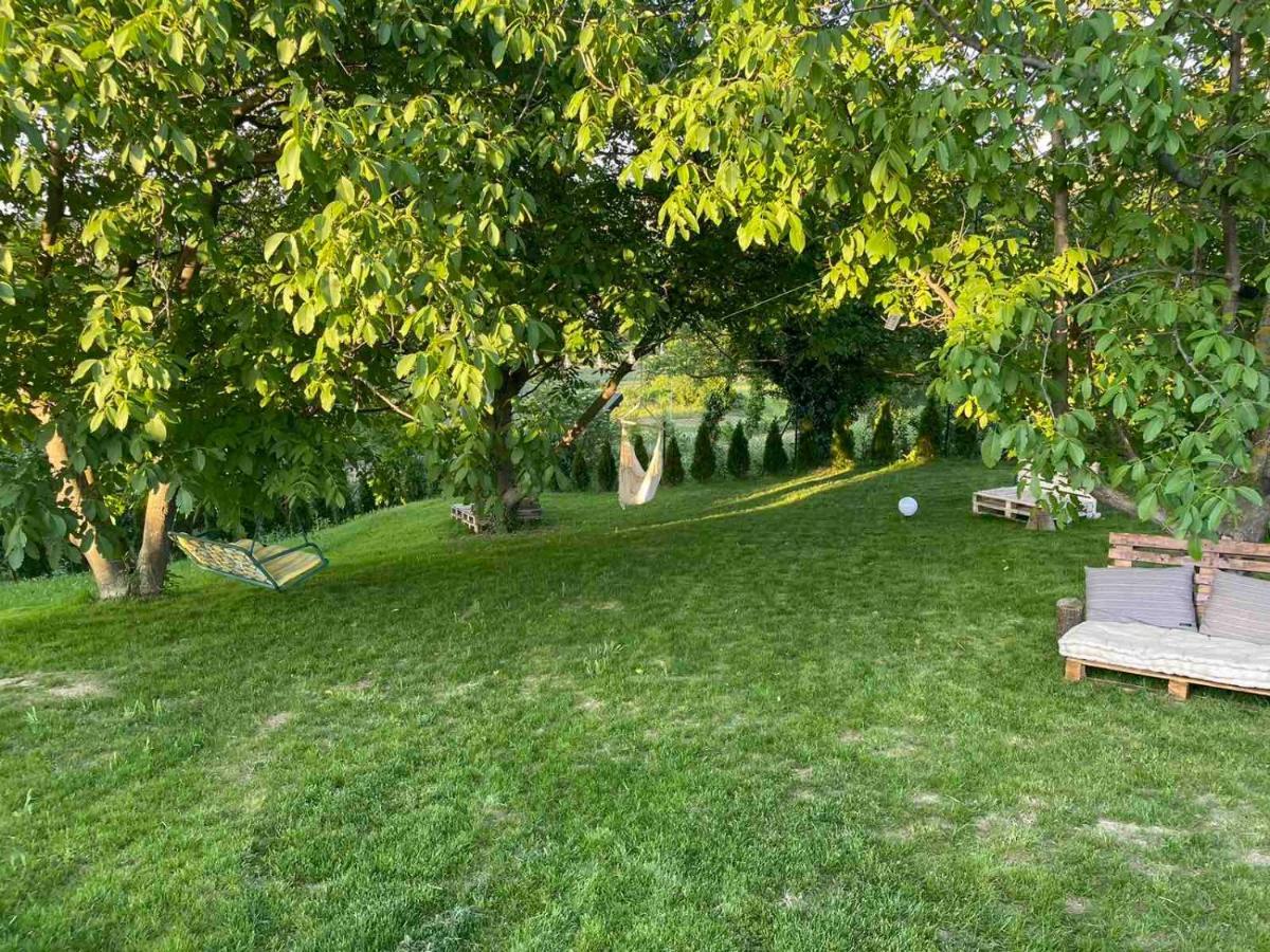 Todor Boutique House Villa Sremska Kamenica Bagian luar foto