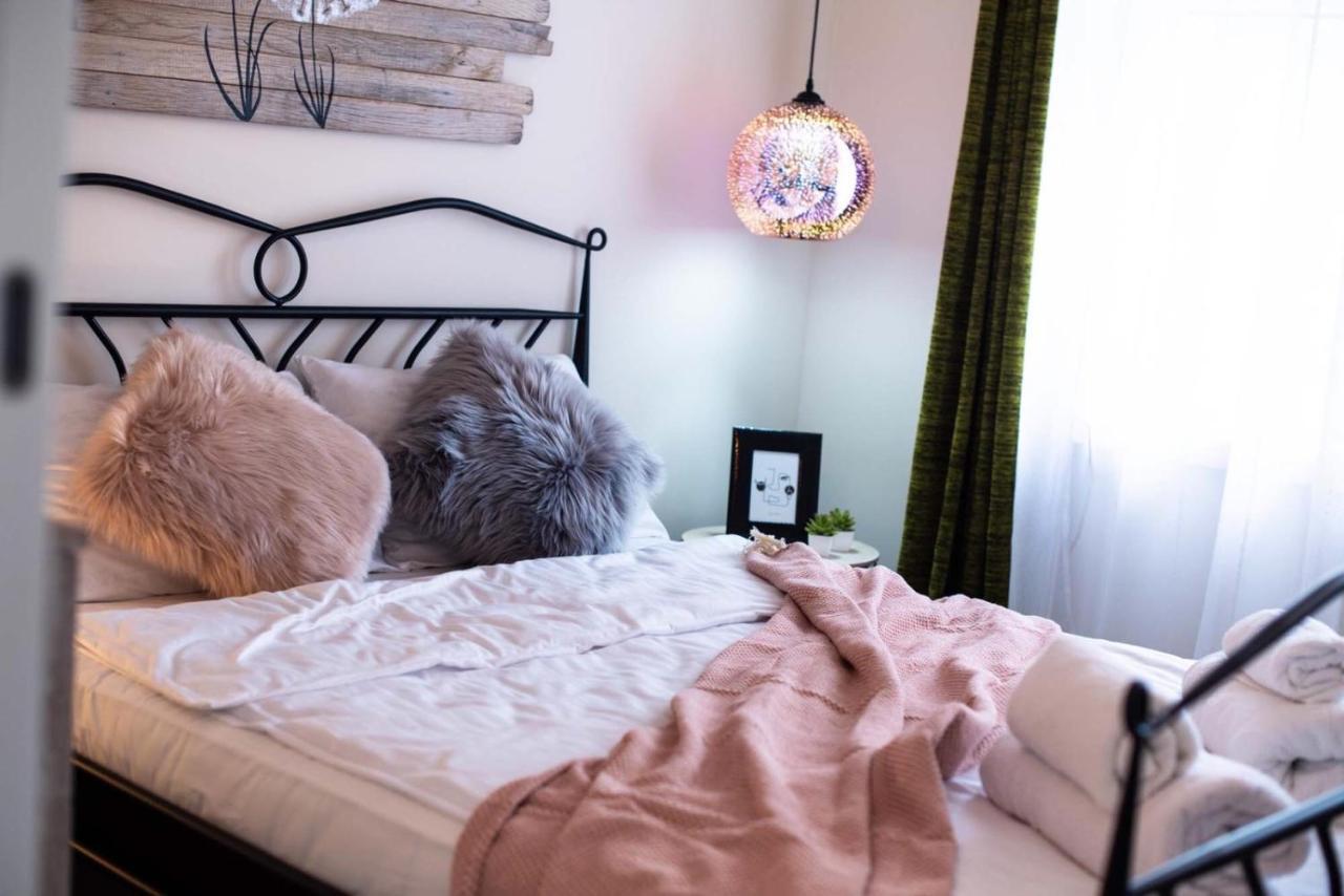 Todor Boutique House Villa Sremska Kamenica Bagian luar foto
