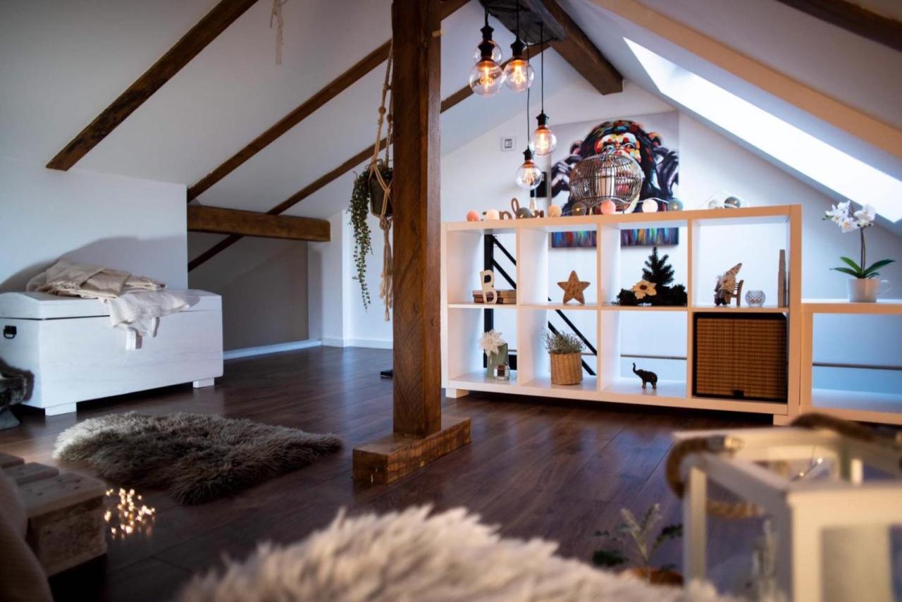 Todor Boutique House Villa Sremska Kamenica Bagian luar foto