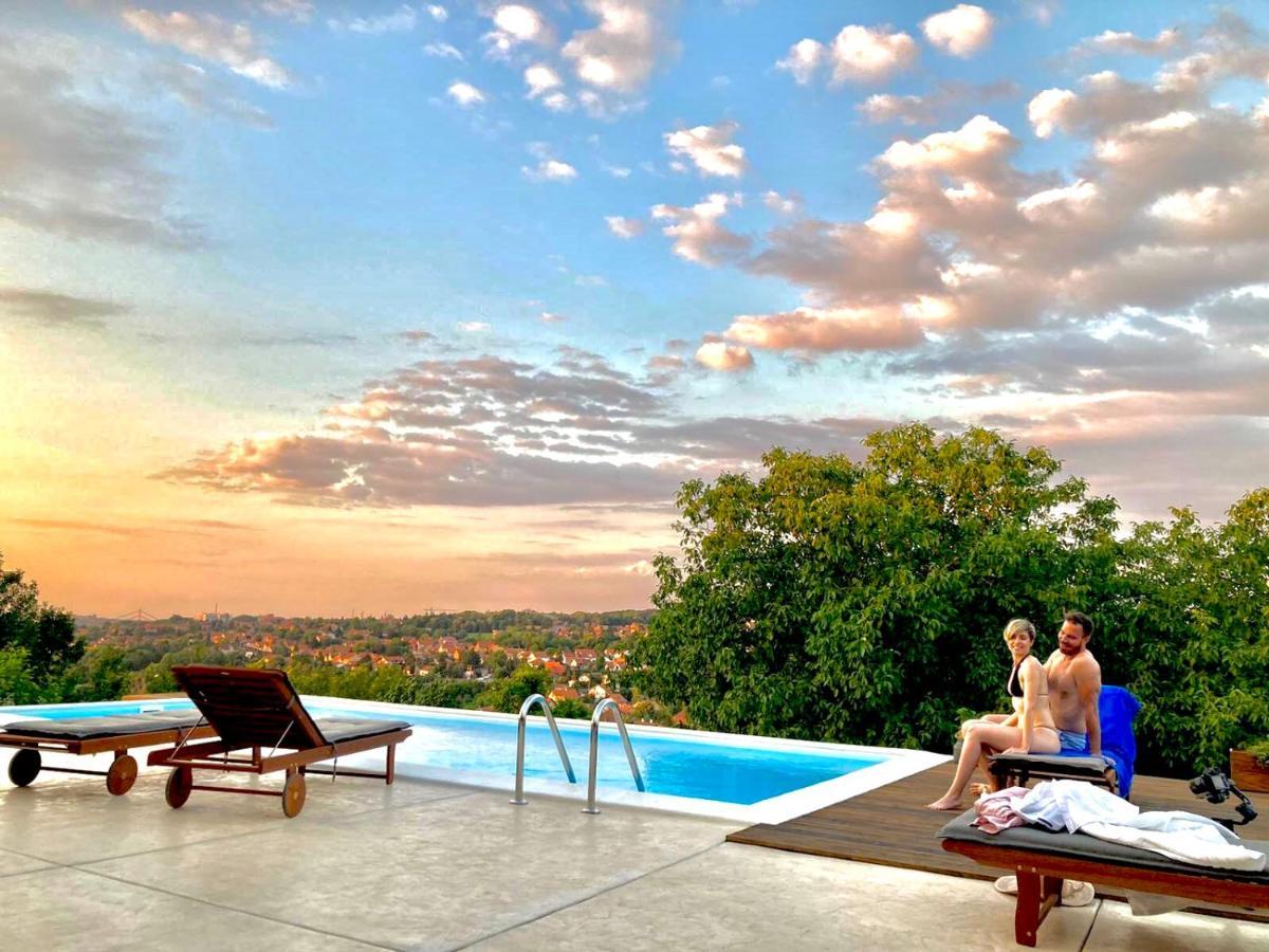Todor Boutique House Villa Sremska Kamenica Bagian luar foto