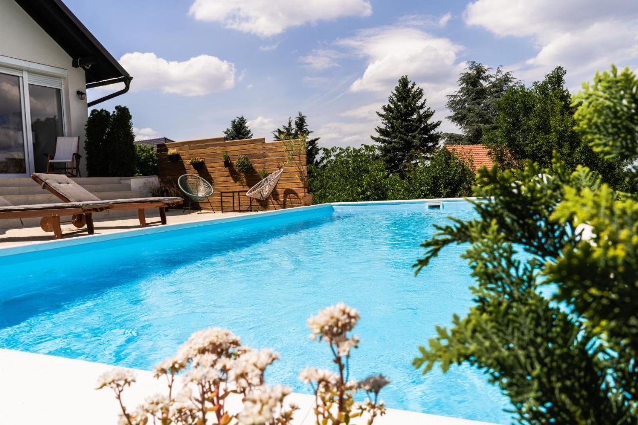 Todor Boutique House Villa Sremska Kamenica Bagian luar foto