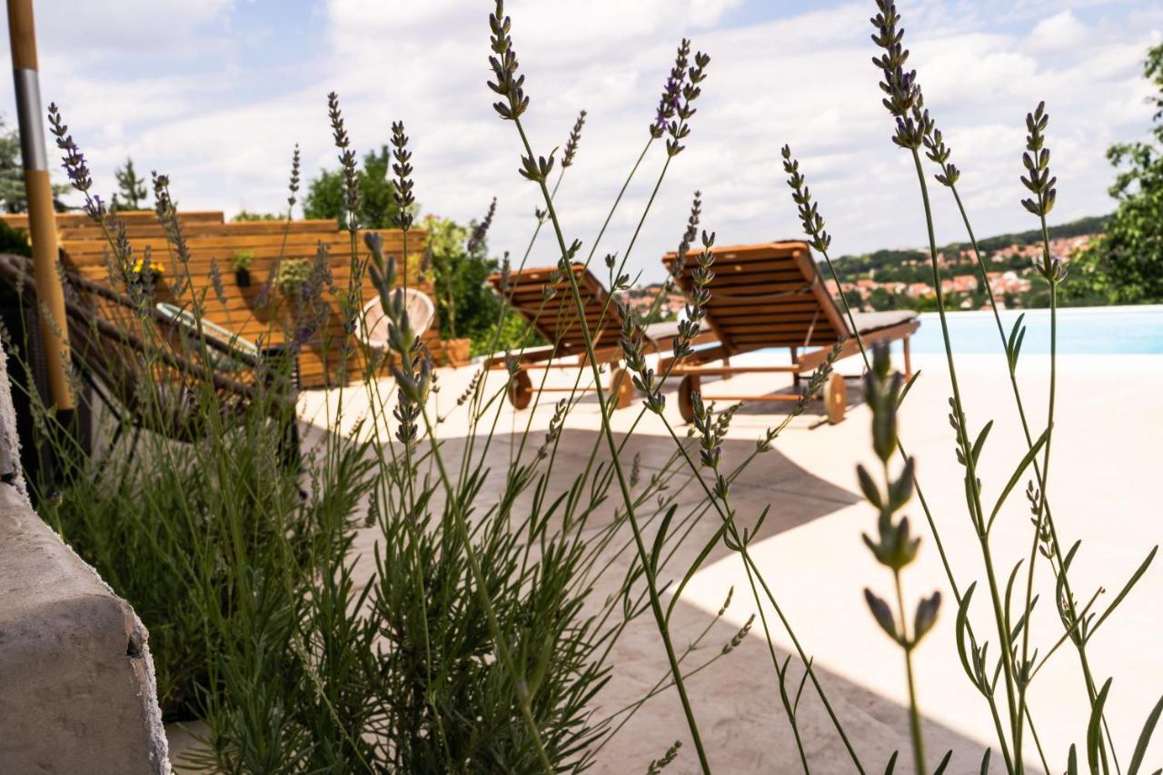 Todor Boutique House Villa Sremska Kamenica Bagian luar foto