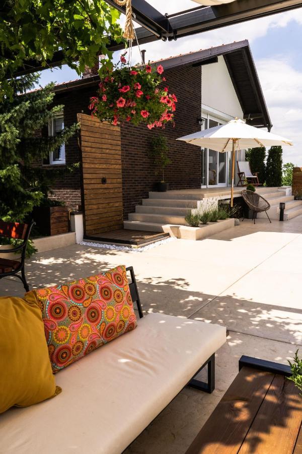 Todor Boutique House Villa Sremska Kamenica Bagian luar foto