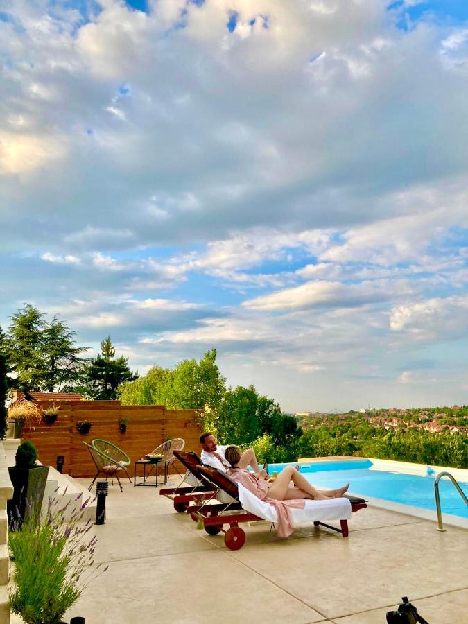 Todor Boutique House Villa Sremska Kamenica Bagian luar foto